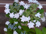 DSC02152.JPG