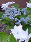 DSC02153.JPG