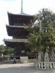 PA291095.JPG
