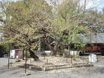 PA291099.JPG