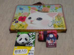 DSC02447.JPG