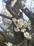 DSC02518.JPG
