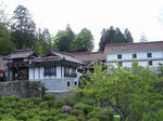 P5041187.JPG