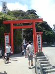 DSC02703.JPG
