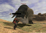 GW-00039.jpg