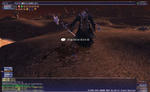 GW2-00082.jpg