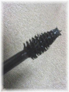 2f784812jpeg