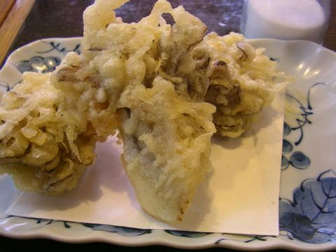 SANY0547.jpg