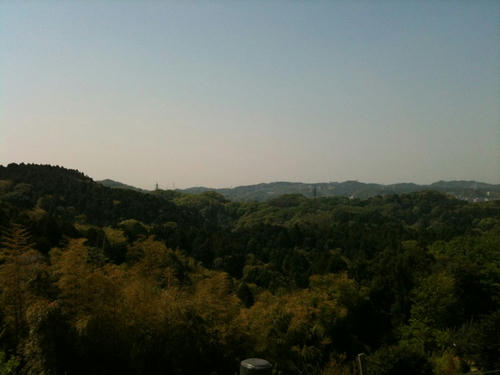 IMG_0841.jpg