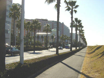 09-01-02e.jpg