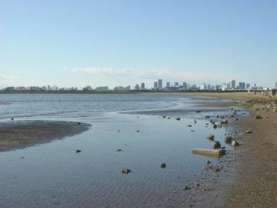 09-01-02n.jpg