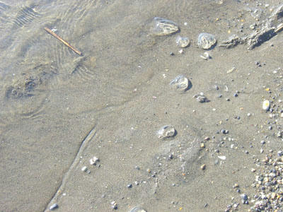 09-01-02o.jpg