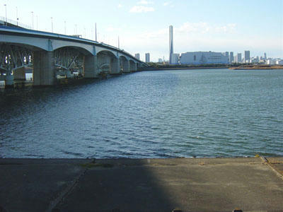 09-01-02p.jpg