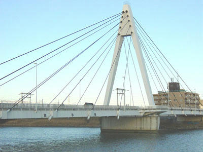 09-01-02z.jpg