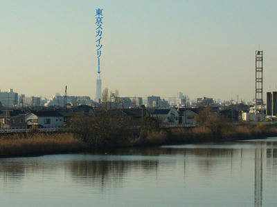 10-01-10a.jpg