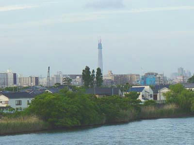 10-05-29a.jpg