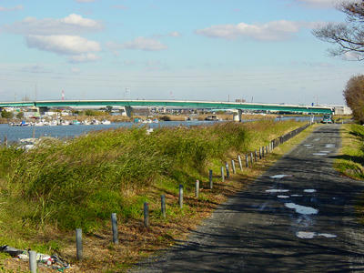 10-12-08b.jpg