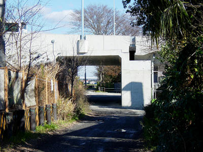 10-12-08c.jpg