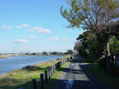 10-12-08d.jpg