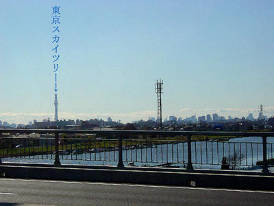 10-12-08f.jpg