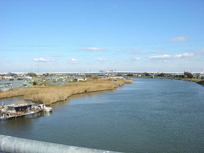 10-12-08i.jpg