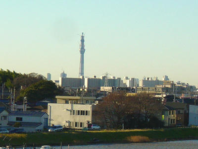 10-12-23d.jpg