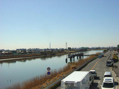 11-03-06a.jpg