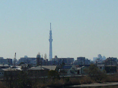 11-03-06b.jpg