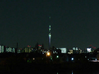 11-12-24d.jpg
