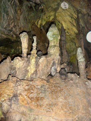 12-08-09n.jpg