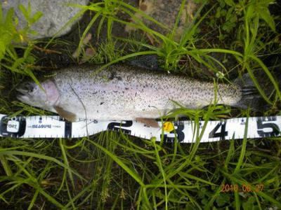 DSCN0095.jpg