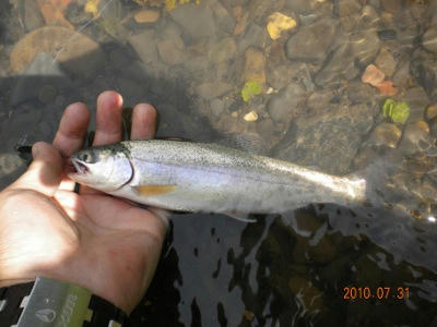 DSCN0108.jpg