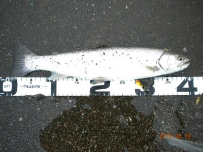 DSCN0074.jpg
