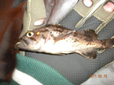 2011-02-10-001 余市 ソイ