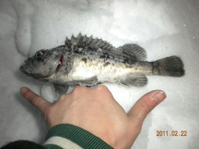 2011-02-22-002 ソイ