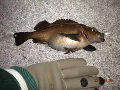2011-04-06-003 余市