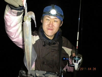 2011-04-26-002 余市 ヤリイカ