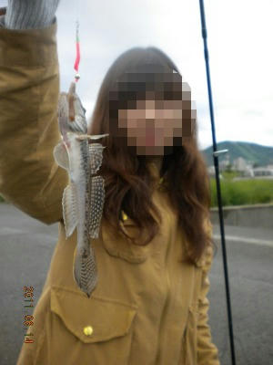 2011-06-14-006 小樽港 ハゼ