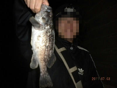 2011-07-002 石狩港 クロソイ