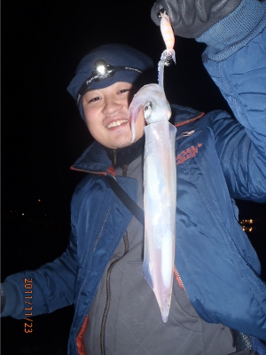 2011-11-23-001 余市港 ヤリイカ