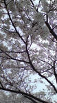 20070401190312