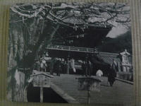 45381735.JPG
