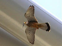 1e5b96d4.jpg