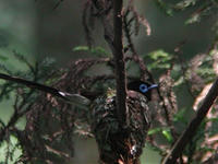 7b515e90.jpg