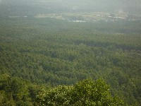 P1000980.jpg