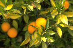 8420b895.gif
