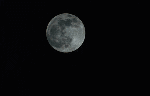 883396d2.gif