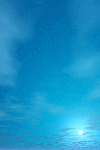 84262772.gif