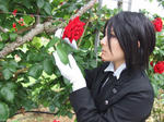 c8429472.jpg