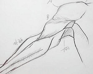 8e5b3716.JPG
